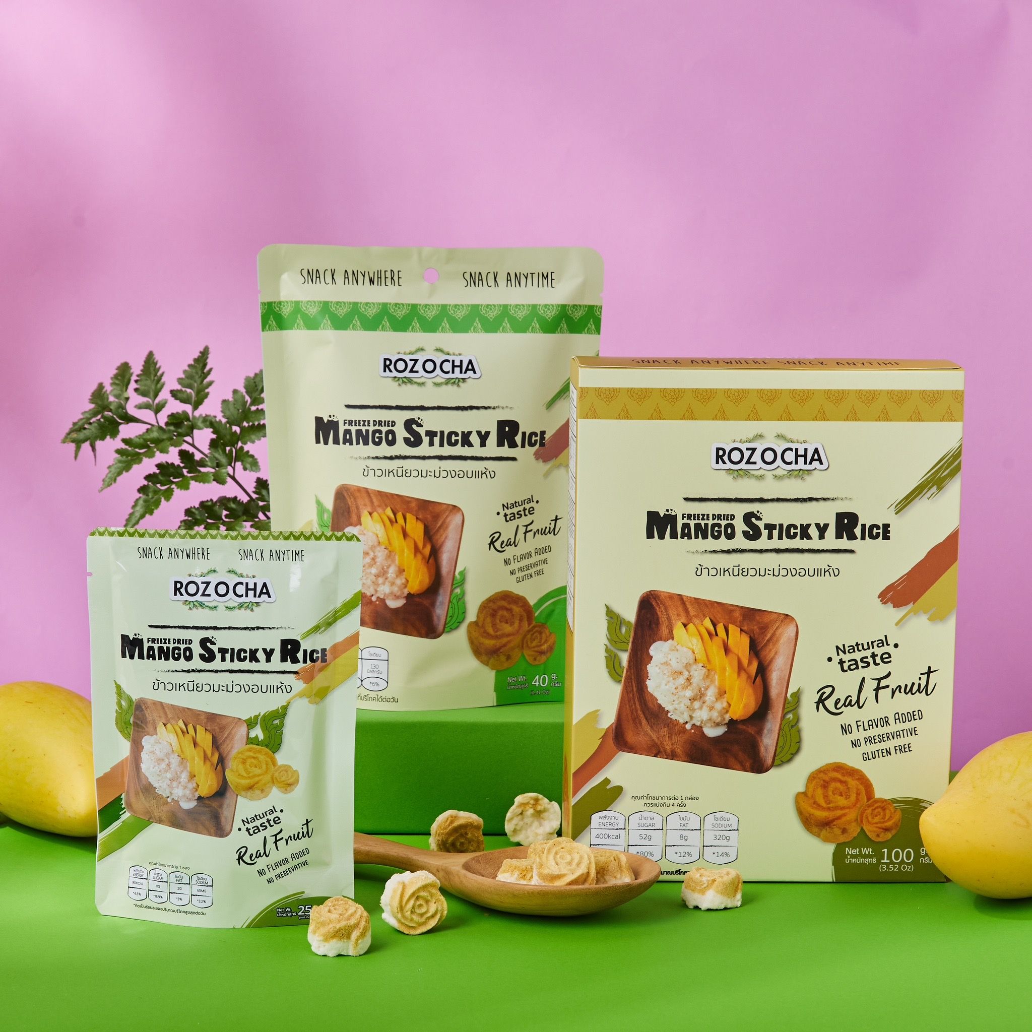 Mango Sticky Rice ข้าวเหนียวมะม่วงอบแห้ง 003